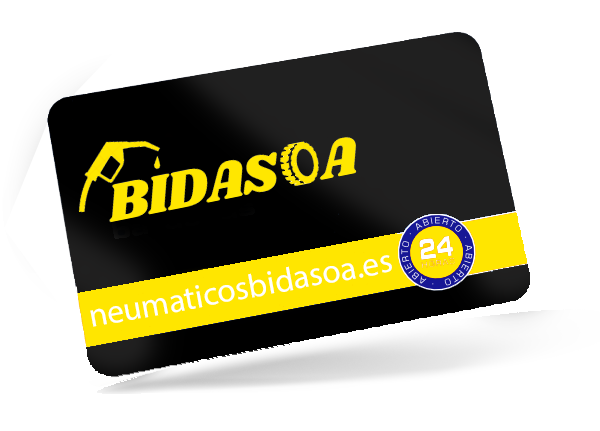 Bidasoa - tarjeta particulares y profesionales